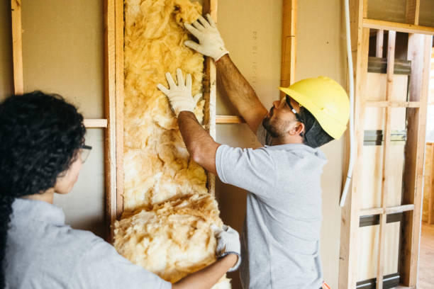 Best Attic Insulation Installation  in Linglestown, PA