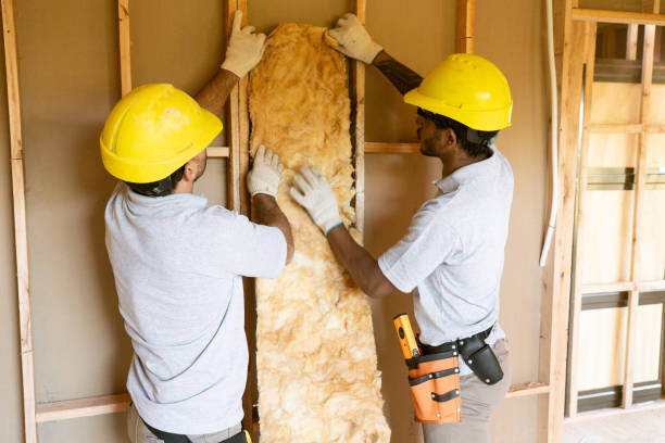 Best Insulation Contractors for Homes  in Linglestown, PA