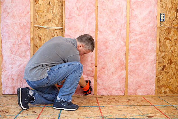 Best Home Insulation Services  in Linglestown, PA