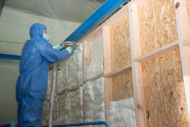Best Energy-efficient Insulation  in Linglestown, PA