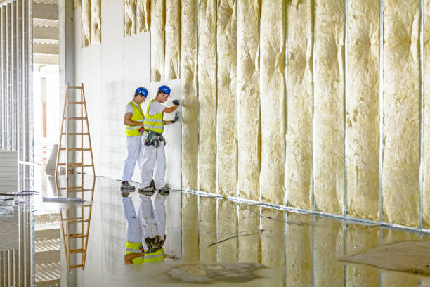 Best Fiberglass Insulation  in Linglestown, PA